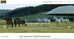 Desktop Screenshot of equitationnaturelle.com