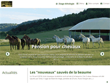 Tablet Screenshot of equitationnaturelle.com